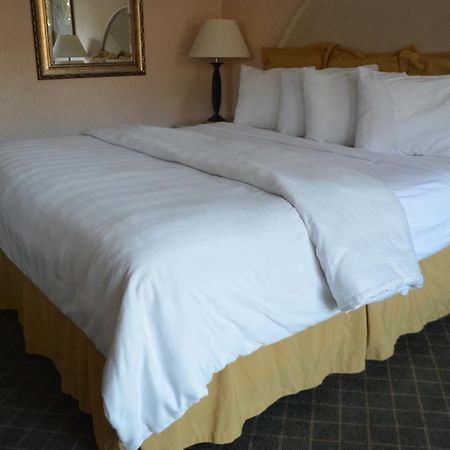 Chapel Hill University Inn Екстериор снимка