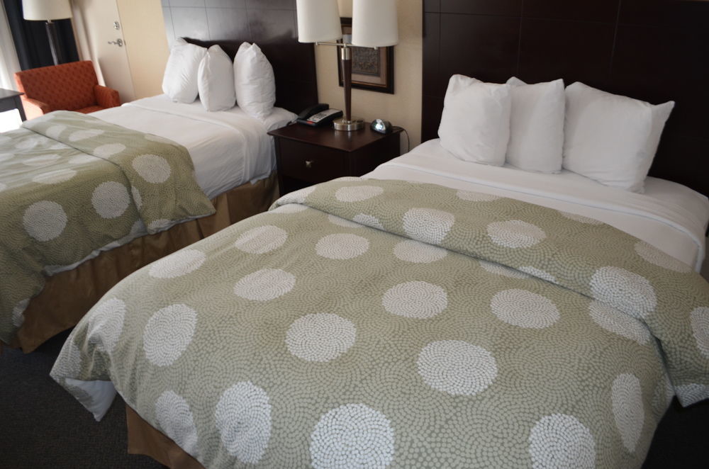 Chapel Hill University Inn Екстериор снимка