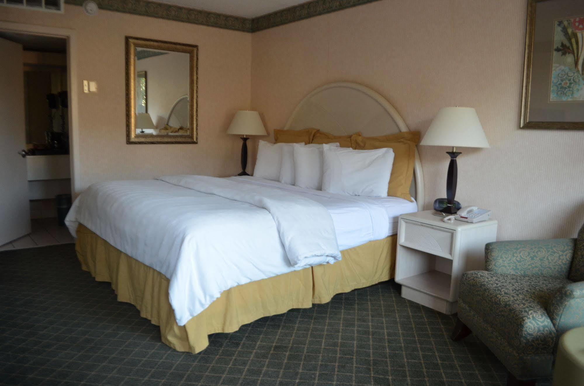 Chapel Hill University Inn Екстериор снимка